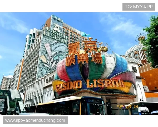 澳门博彩旅游结合策略:推动旅游业多元化发展的新思路